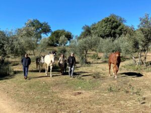 Lee más sobre el artículo EQUINOTERAPIA Y ACOMPAÑAMIENTO CON CABALLOS