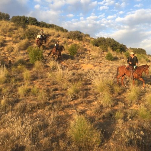zac paseo ejecutivo Rutas a caballo por la sierra norte de Madrid. Rutas a caballo por Segovia. Paseo en coche de caballos por la sierra. Clases de equitación infantil. Equinoterapia. Rutas en familia